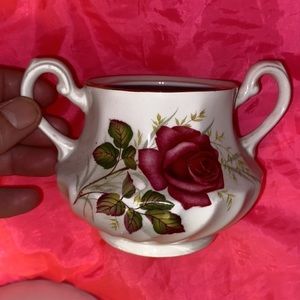 Vintage Ridgeway Ironstone Ware Anniversary China Dish wear Gold made in England